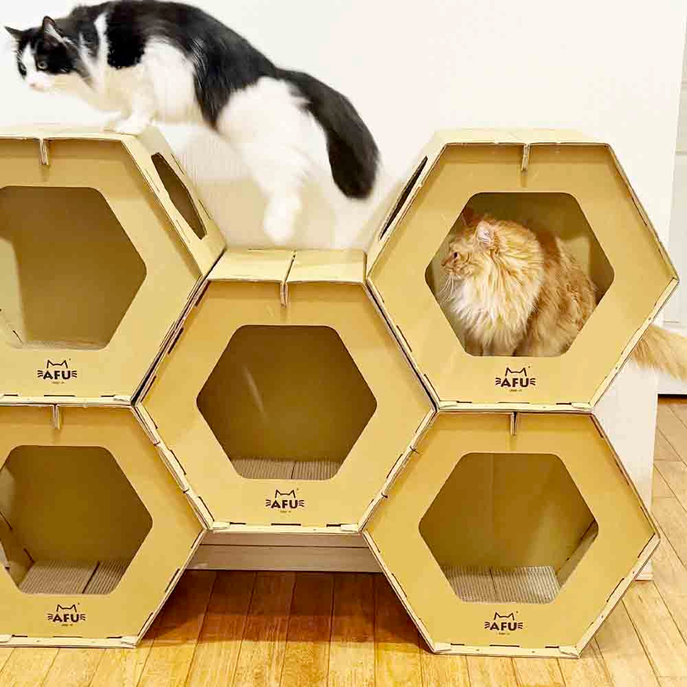 Honeycomb House with Scratching Post - Single