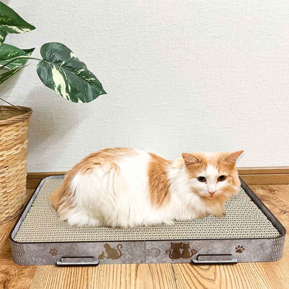 Cat Scratcher Flabo - Gray Color