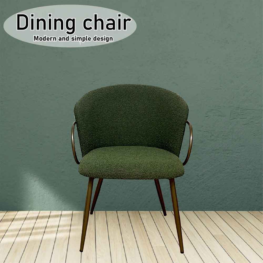 Classical Dining Chair DC-RIRIA-GR