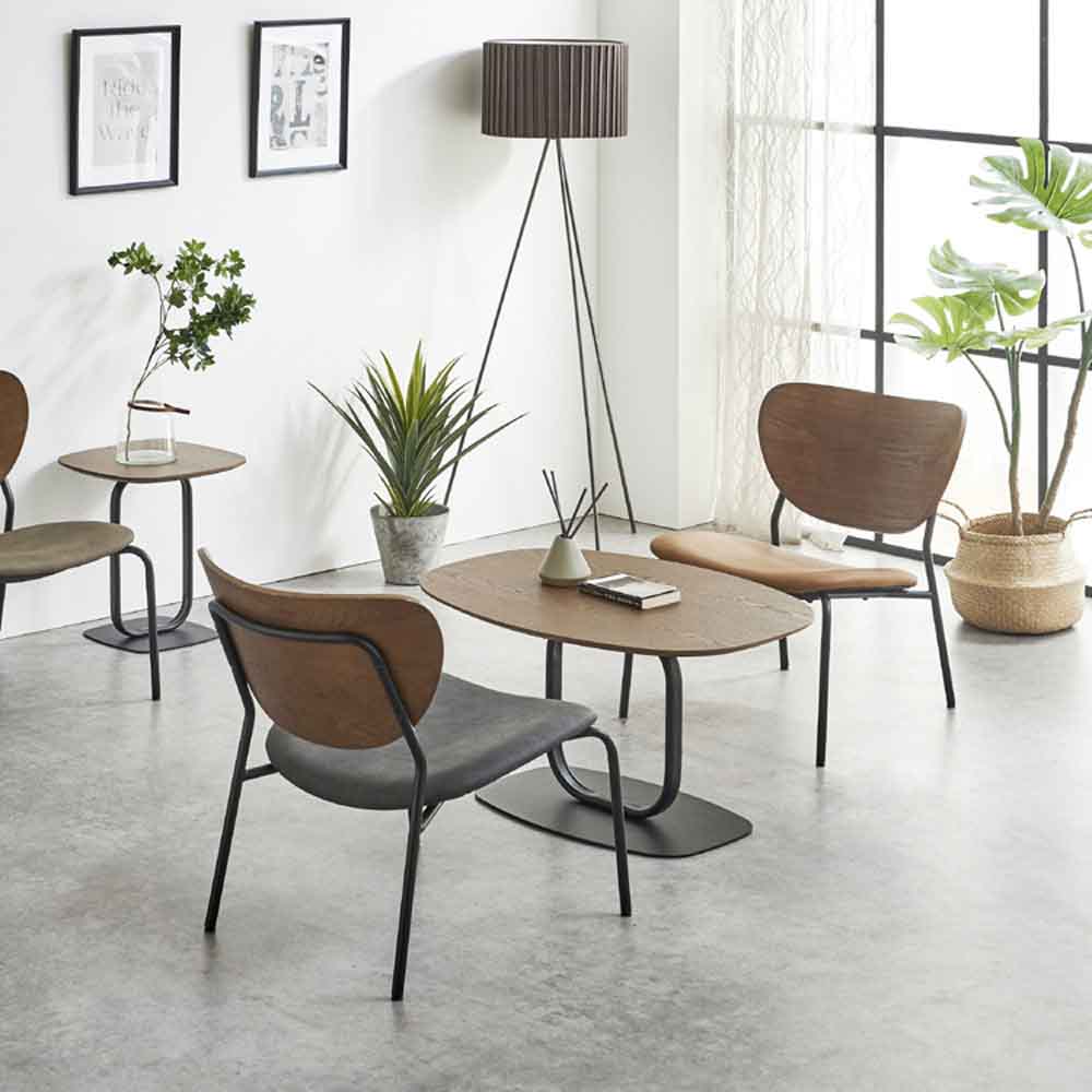 Smart Lounge Chair Set of 2 RC-NMN-BR