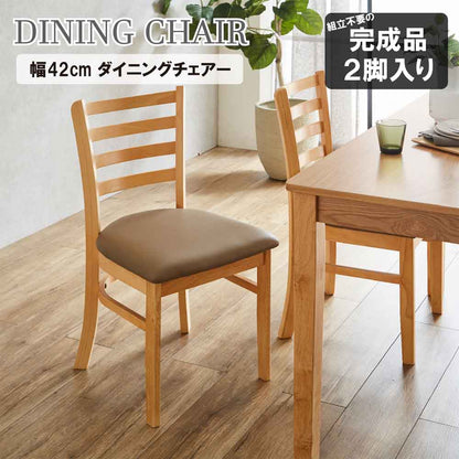 Dining Chair Set of 2 DCHAIR-ERN-NA