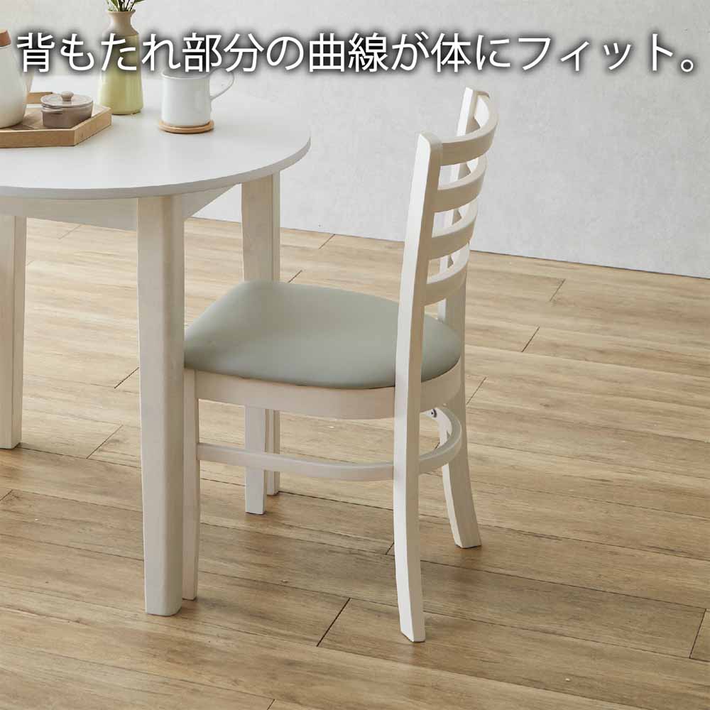 Dining Chair Set of 2 DCHAIR-ERN-NA
