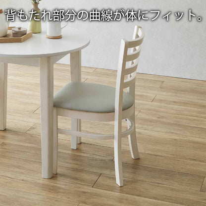 Dining Chair Set of 2 DCHAIR-ERN-NA