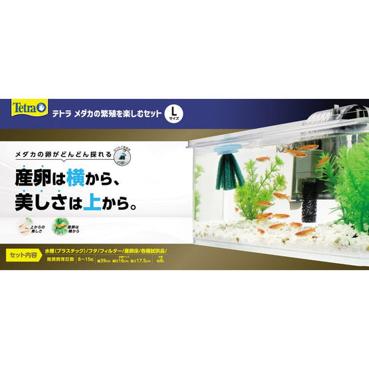 Spectrum Brands Japan Tetra Medaka Breeding Enjoyment Set L 1 Set