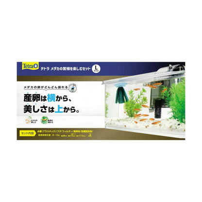 Spectrum Brands Japan Tetra Medaka Breeding Enjoyment Set L 1 Set