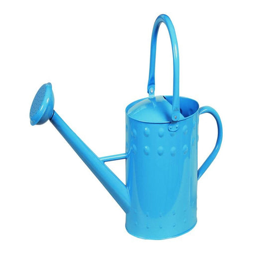 Watering Can Blue 81515