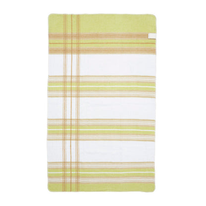 【Store Exclusive】Electric Blanket with Cover Made in Japan SB20S02 Y