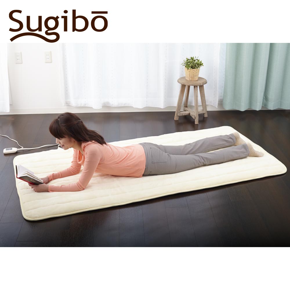 Warm Personal Mat Regular Made in Japan SBHP901 IV