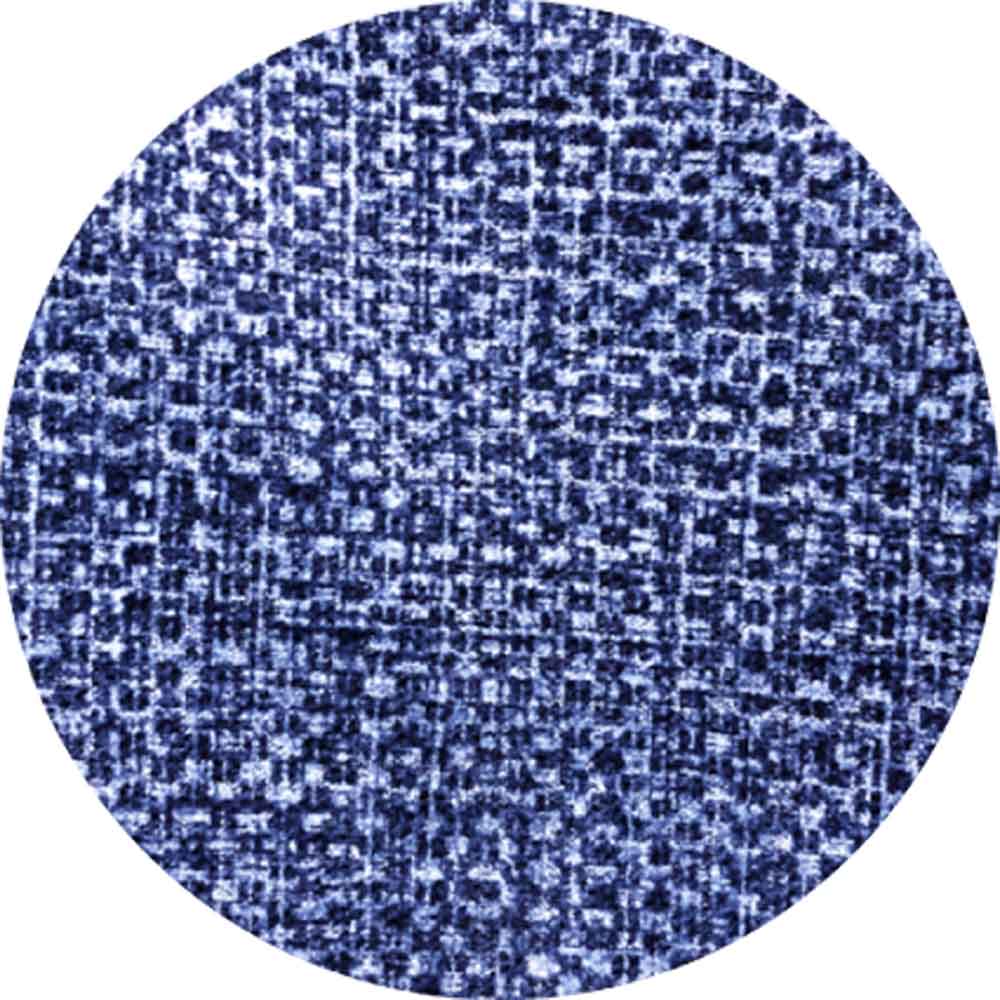 Dog Step 2 Steps Blue