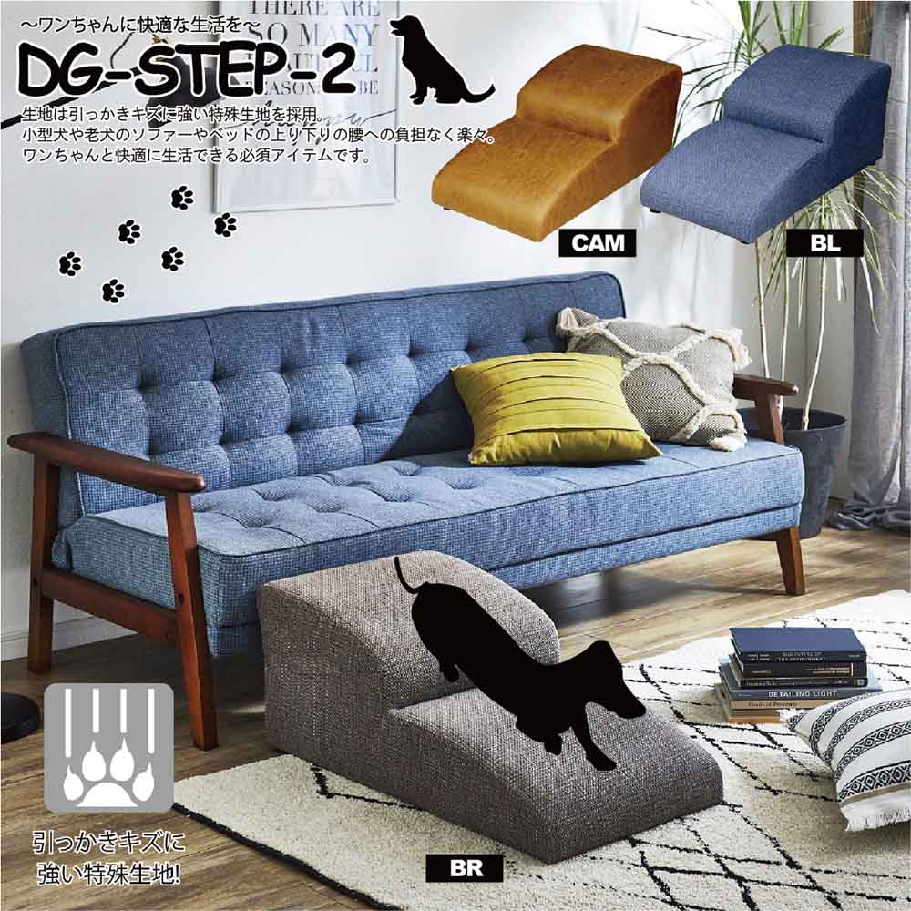 Dog Step 2 Steps Camel