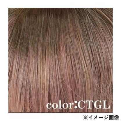 Priscilla All Wig Gradation Pure Straight Heat Resistant Gray Lavender