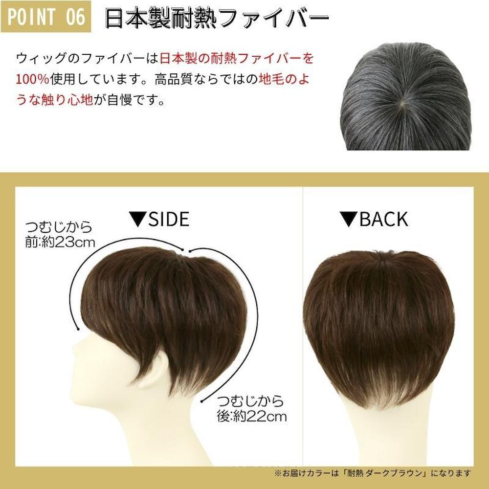 Priscilla Men's 5-Minute Wig Straight Short Heat Resistant