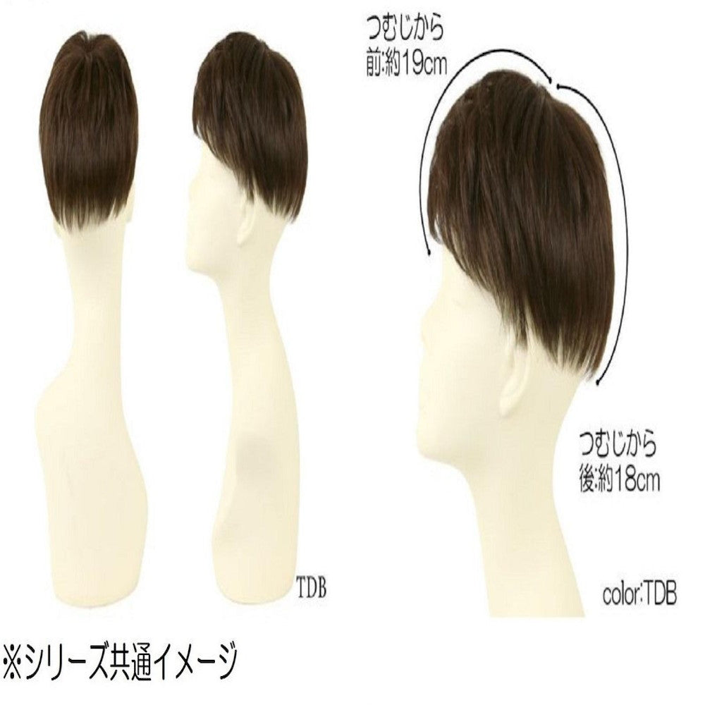 Priscilla Men's 5-Minute Wig Layered Short Heat Resistant