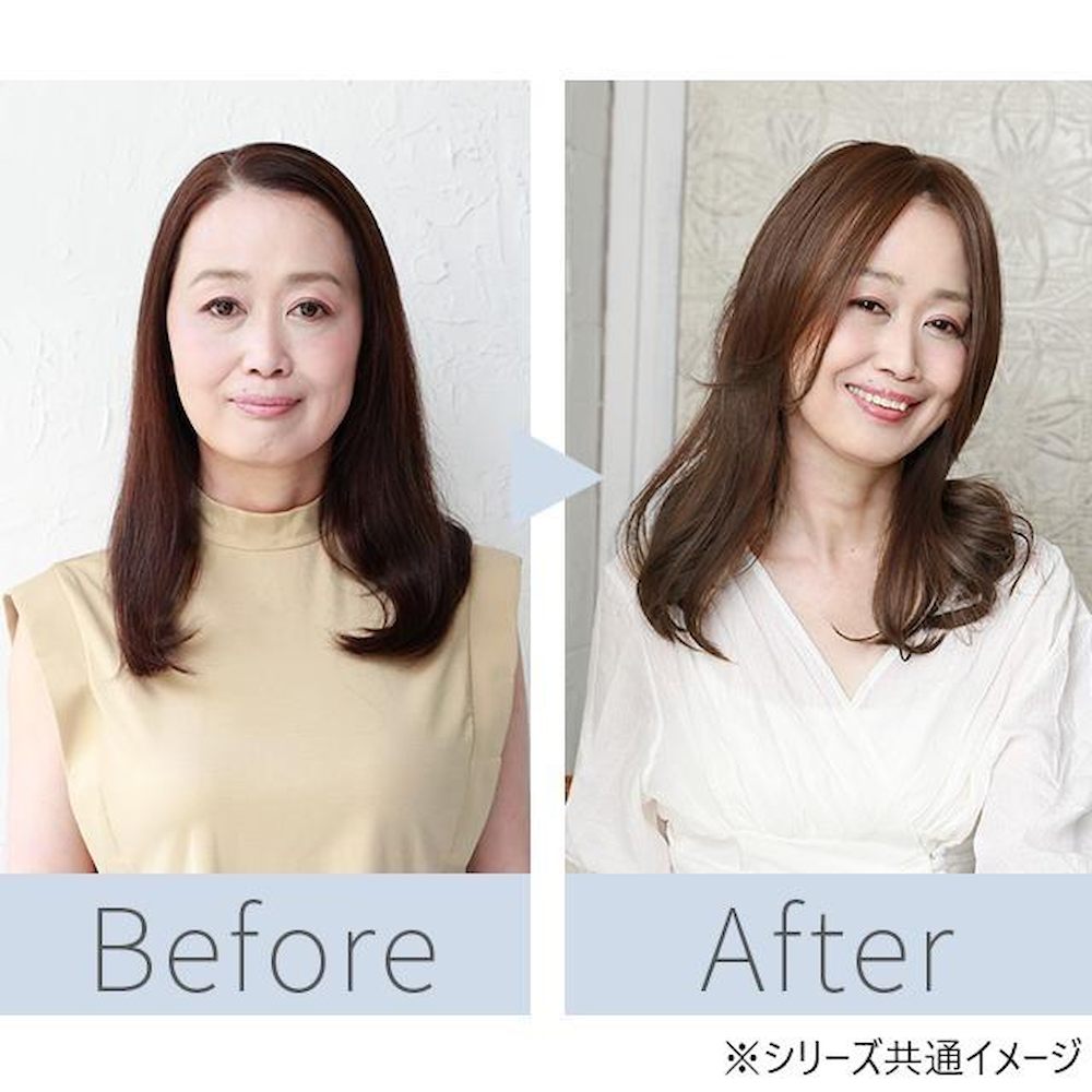 Priscilla Premium Gray Hair Cover Wig One-Length Long Type