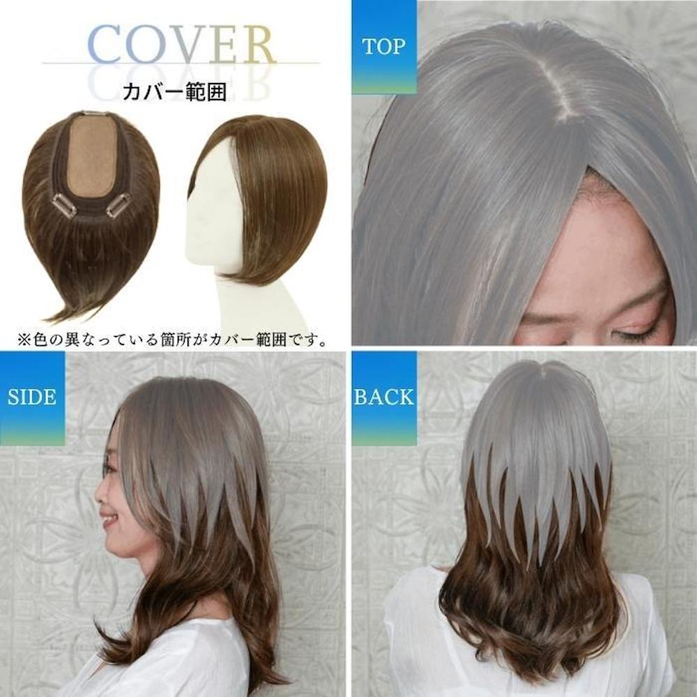 Priscilla Premium Gray Hair Cover Wig One-Length Long Type
