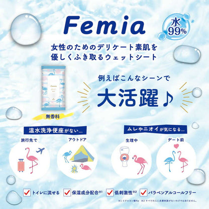 Reck FM Fem Wet Wipes Unscented 20 Sheets x 2