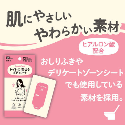 Reck SRT Flushable Body Wipes for Women Soap Scent 12 Sheets