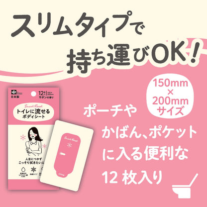 Reck SRT Flushable Body Wipes for Women Soap Scent 12 Sheets