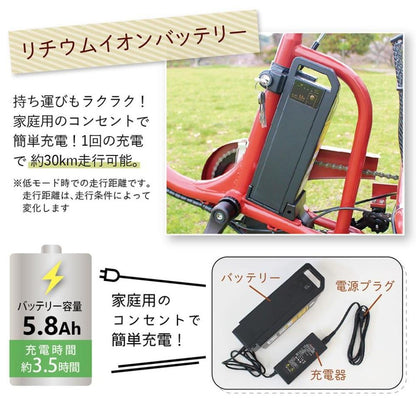 E-PARTON Low-Type Electric Assist Tricycle