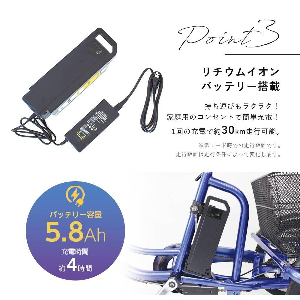 E-PARTON Electric Assist Tricycle