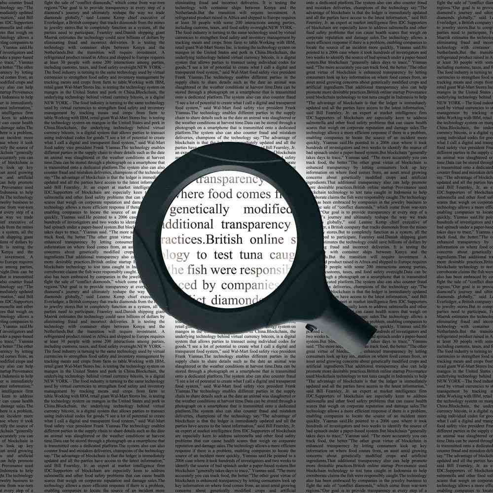 Trade One COB Light Handheld Magnifier