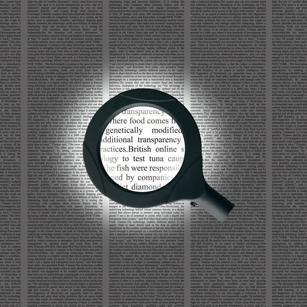 Trade One COB Light Handheld Magnifier