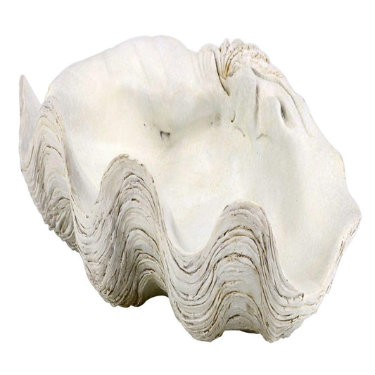 Shell Plate 80429