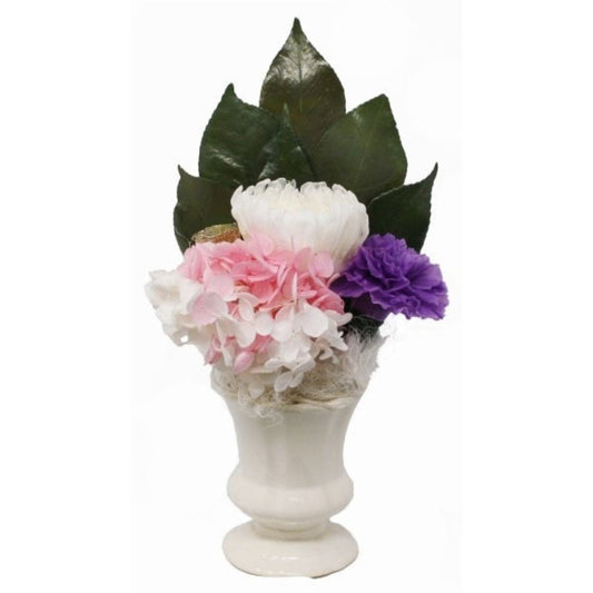 Preserved Flower Shihori with Vase AKM-004