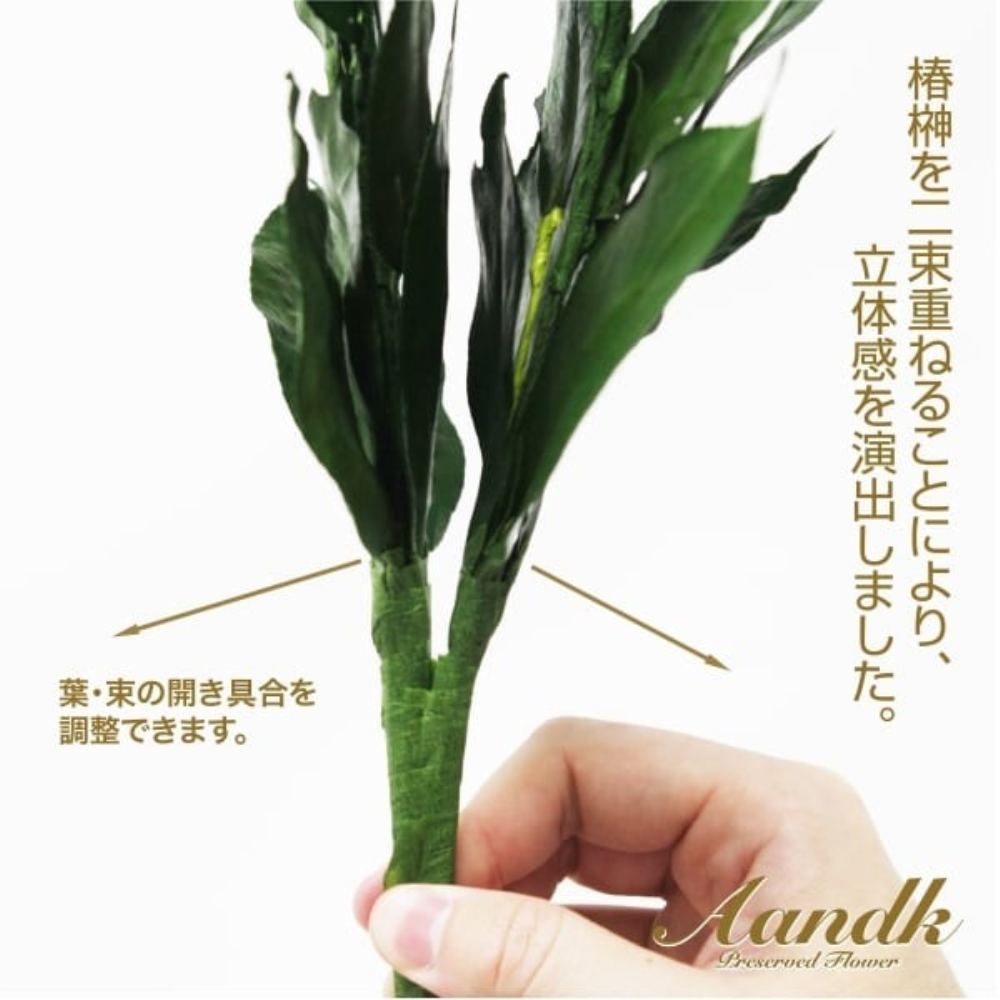 Sakaki Premium Preserved S FS-003SV