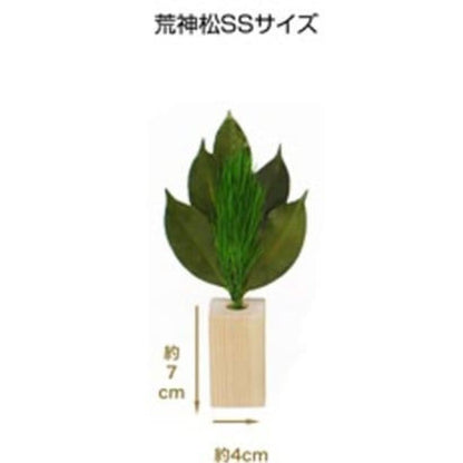 Kojin Matsu SS Matsu Stand Set ST-004