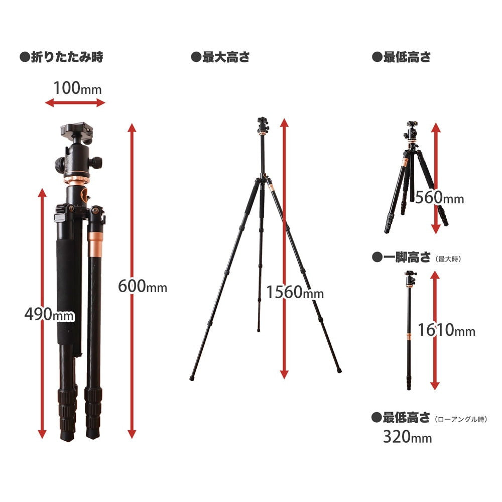 Tripod with Monopod Function 'Overhead Tripod' Holder CWTSAFSBK