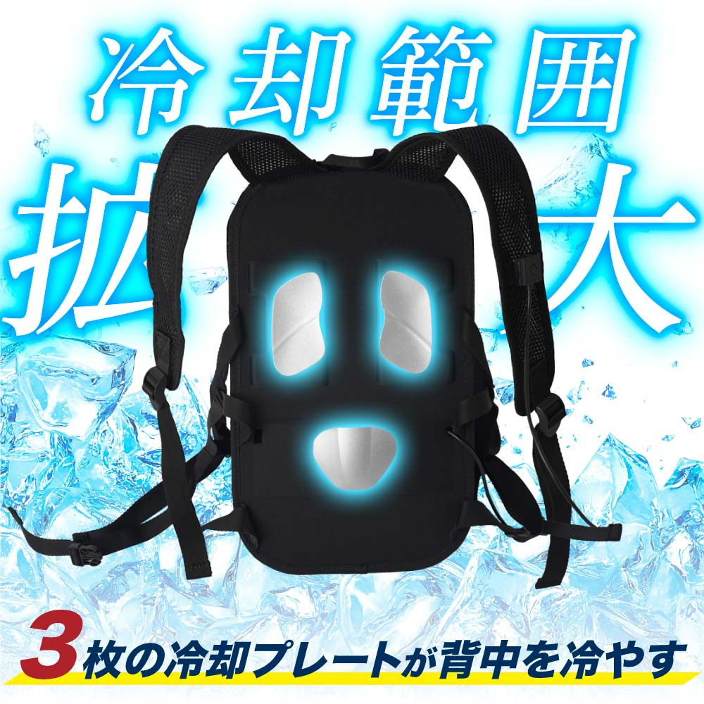 Peltier Cooling Backpack Cooler 'Coolruck 2' BACKC2H
