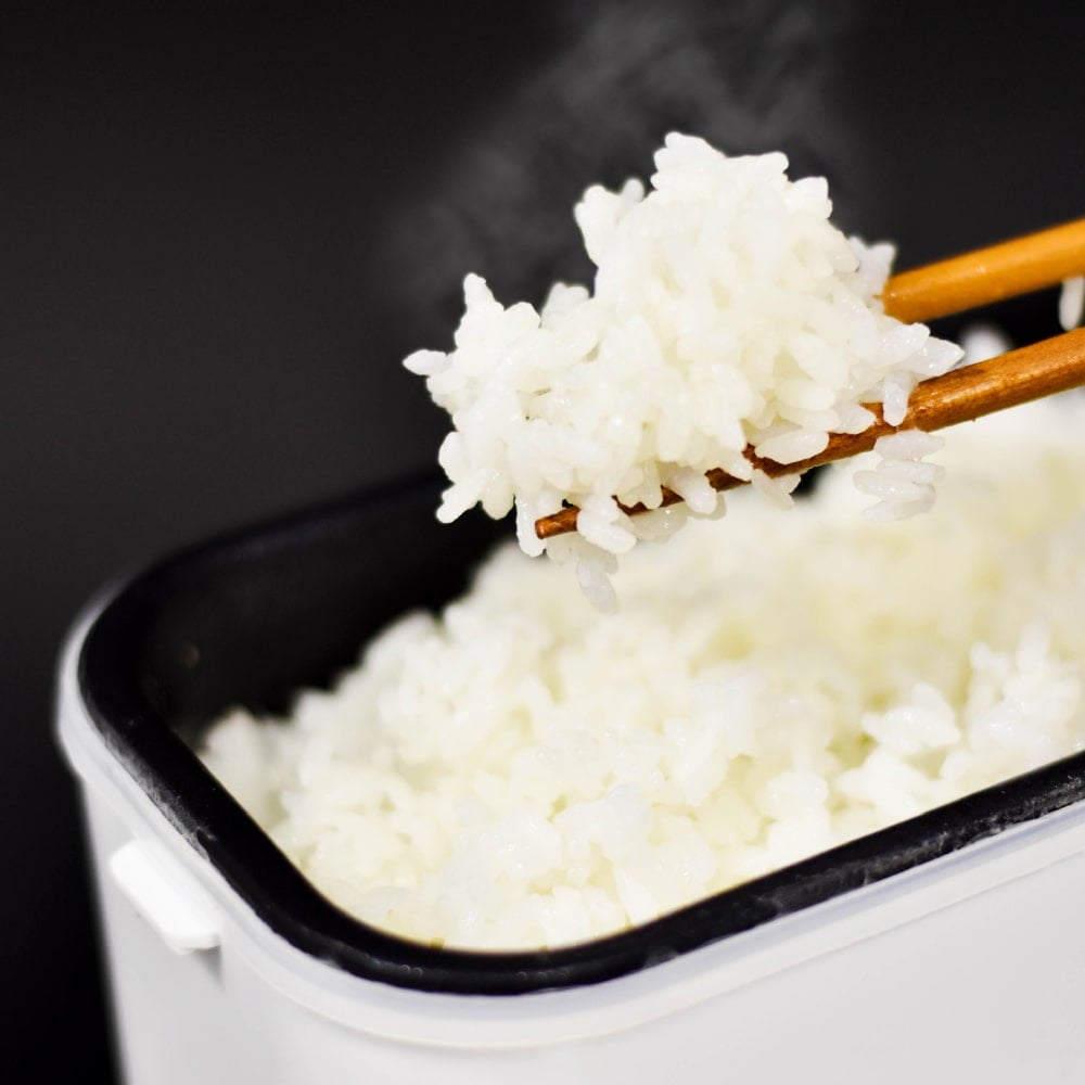 Single Serve Super Fast Bento Box Rice Cooker RCKDSGSWH