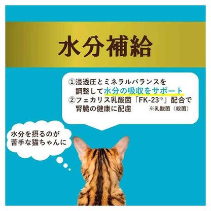 Aixia i CARE Hydration Bonito Paste 35g