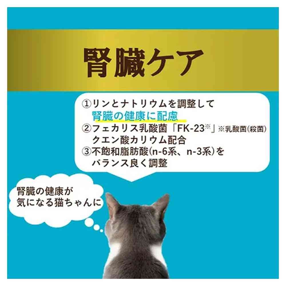 Aishia i CARE Kidney Care Bonito Paste 35g