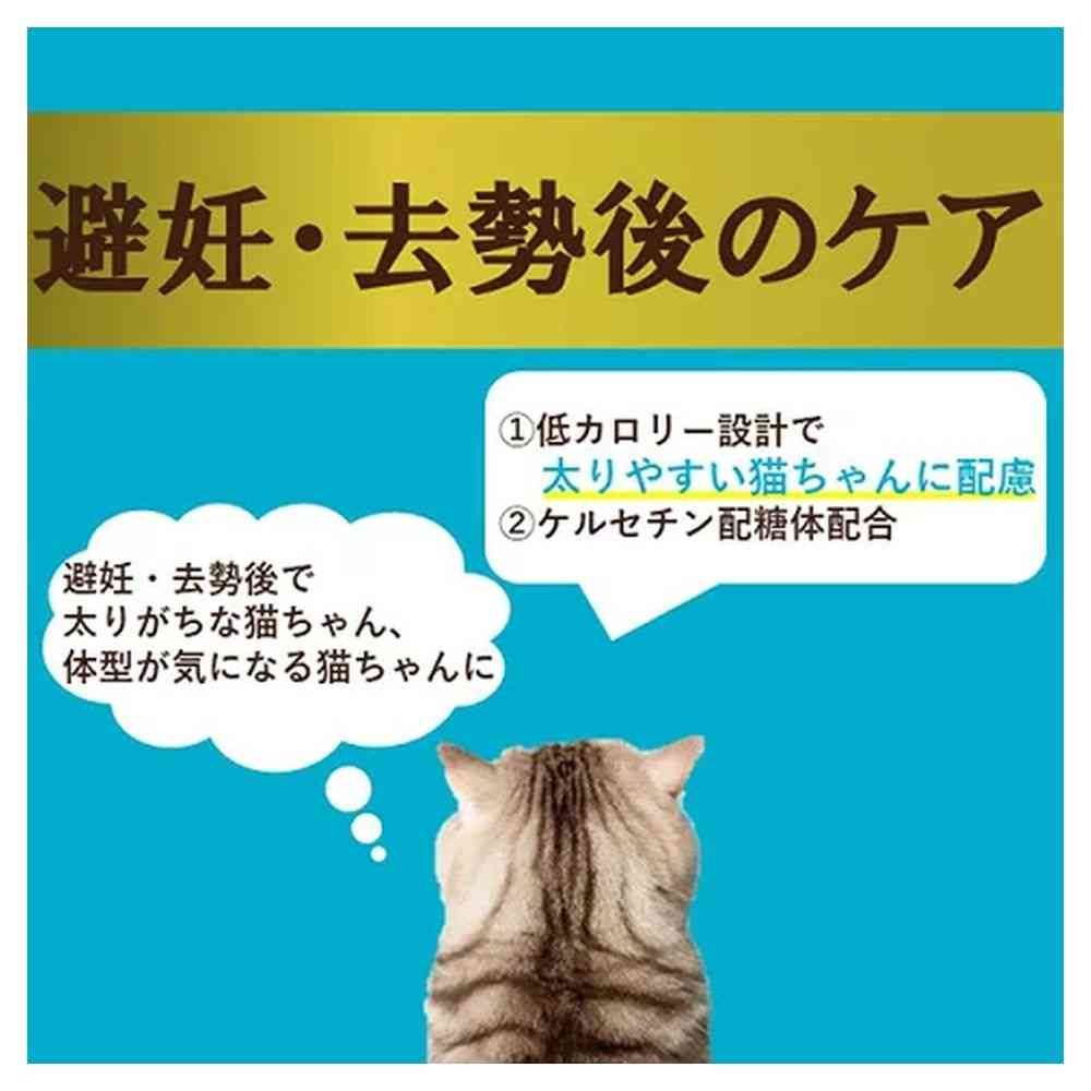 Aishia i CARE Post-Neutering Care Tuna Paste 35g