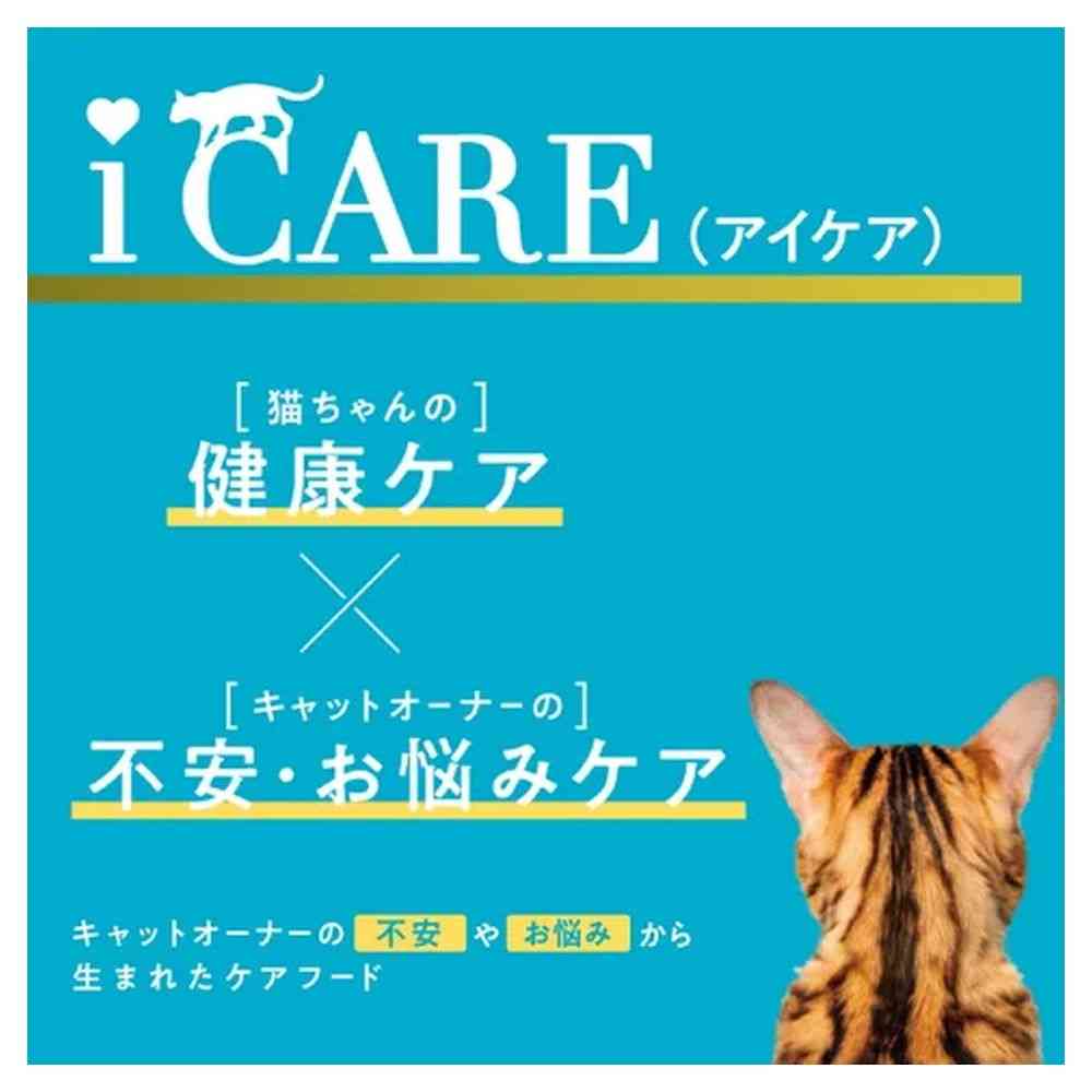 Aishia i CARE Food Allergy Care Chicken Soup 35g