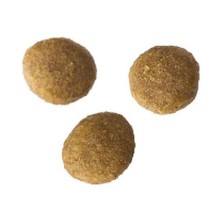 Aixia i CARE Cat Dry Fish Flavor 400g