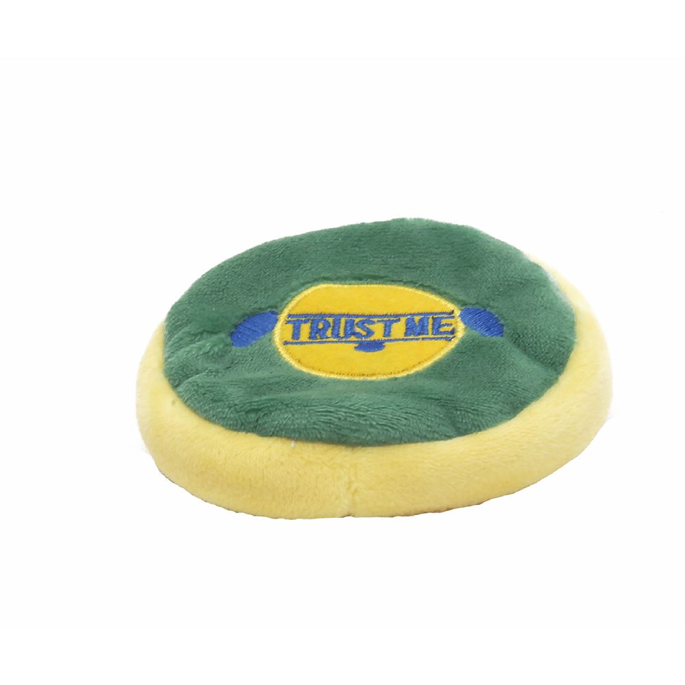 AI Products Retrieve Indoor Disk Mini Mint