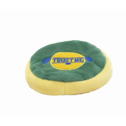 AI Products Retrieve Indoor Disk Mini Mint