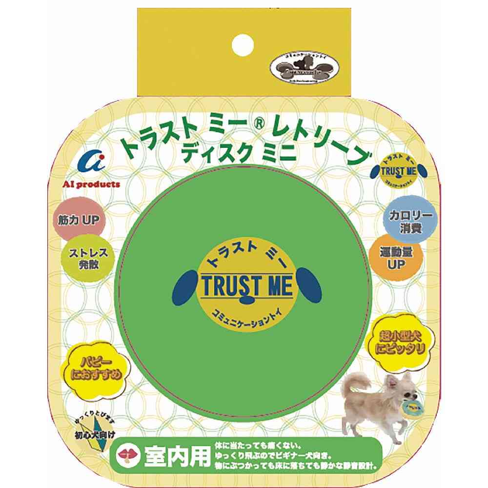 AI Products Retrieve Indoor Disk Mini Mint