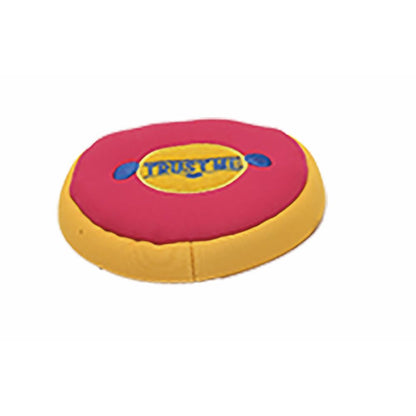 AI Products Retrieve Outdoor Disk Mini Sun