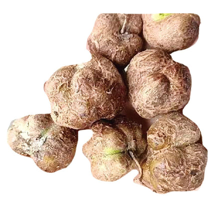 AI Products MEROMERO Chew Fruit Five