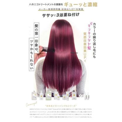 Hahonico Kirame Twinkle Shampoo 300ml