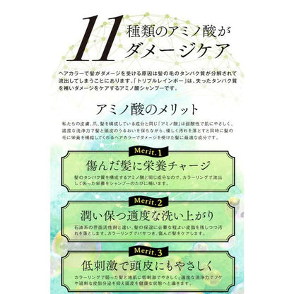 Ashiya Triple Rainbow Color Treatment All Color Compatible 300ml