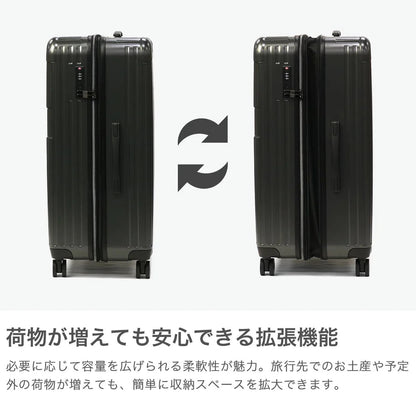 Carry Case L sfrs-2402-L-IVWH