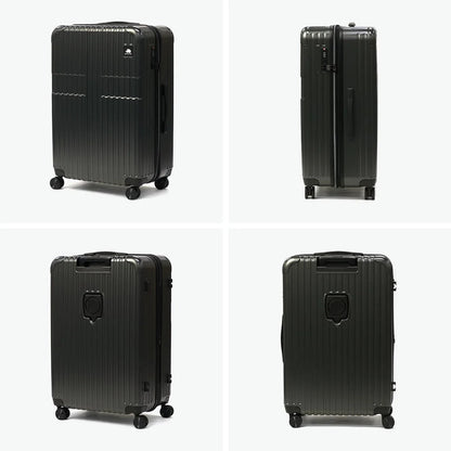 Carry Case L sfrs-2402-L-IVWH