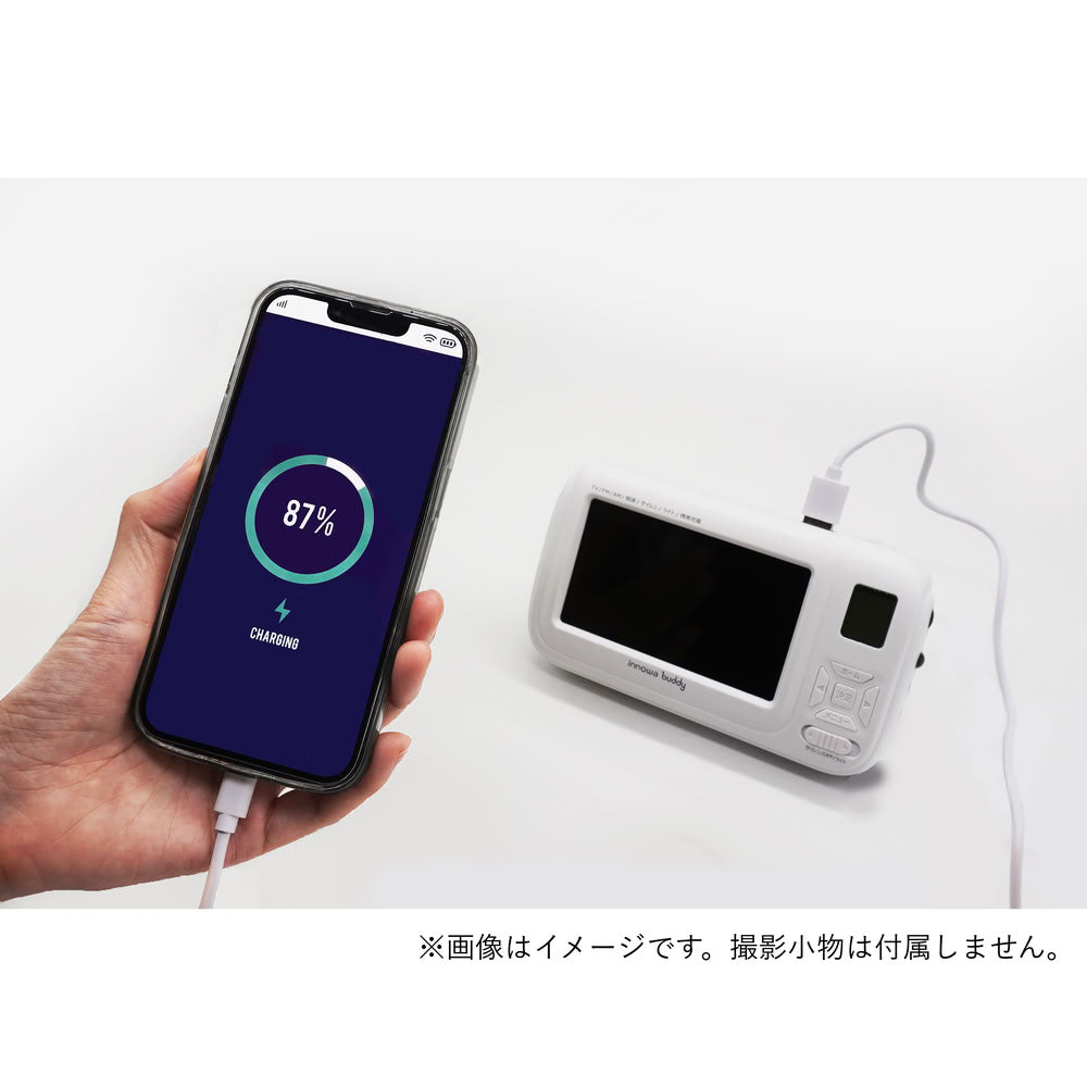 innowa buddy Portable Radio & TV