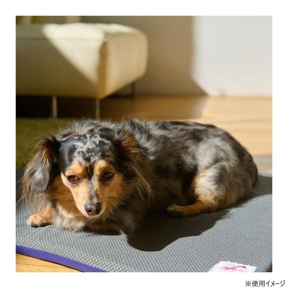 Terra Pet Bed - Blue M Size