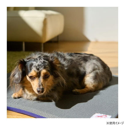 Terra Pet Bed - Blue L Size